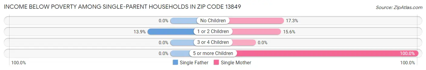 Income Below Poverty Among Single-Parent Households in Zip Code 13849