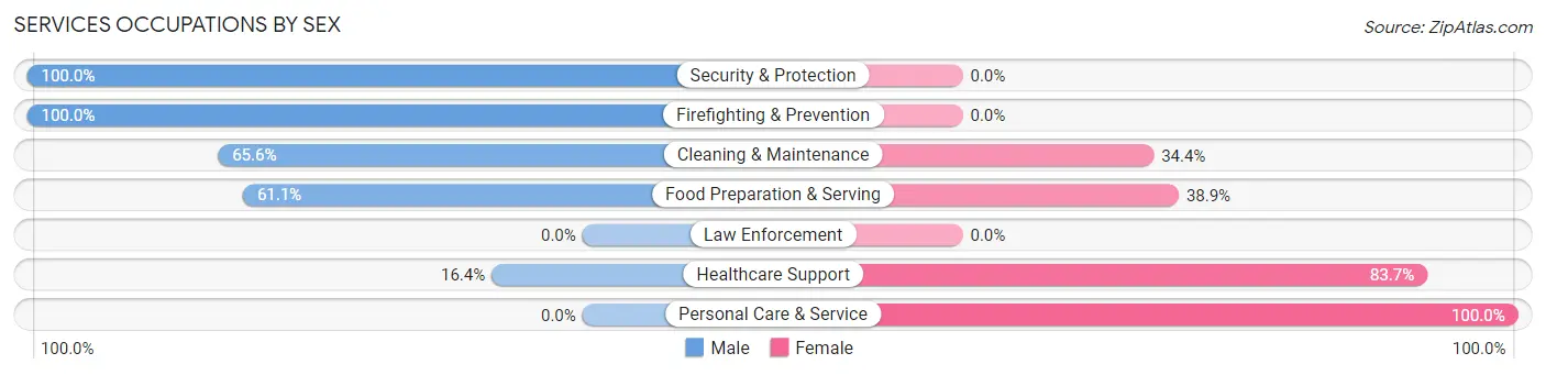 Services Occupations by Sex in Zip Code 13856