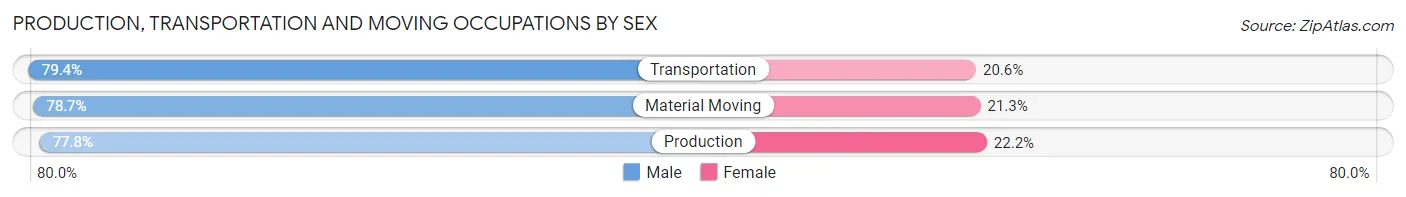 Production, Transportation and Moving Occupations by Sex in Zip Code 13901