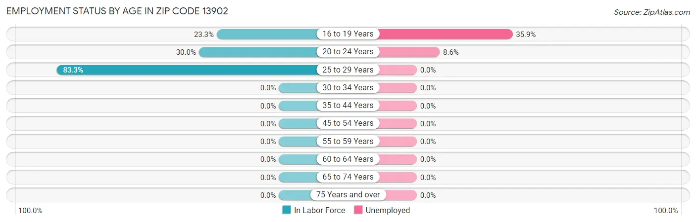 Employment Status by Age in Zip Code 13902
