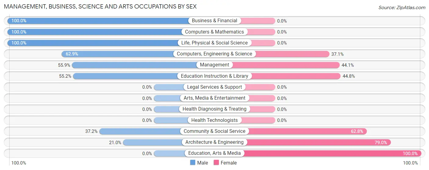 Management, Business, Science and Arts Occupations by Sex in Zip Code 13902