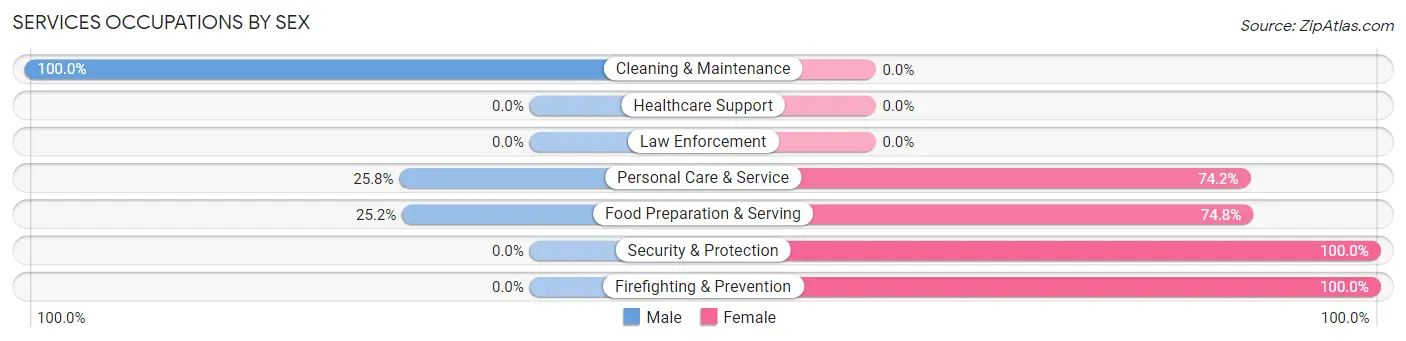 Services Occupations by Sex in Zip Code 13902