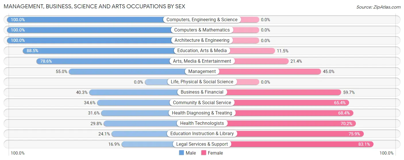 Management, Business, Science and Arts Occupations by Sex in Zip Code 13904