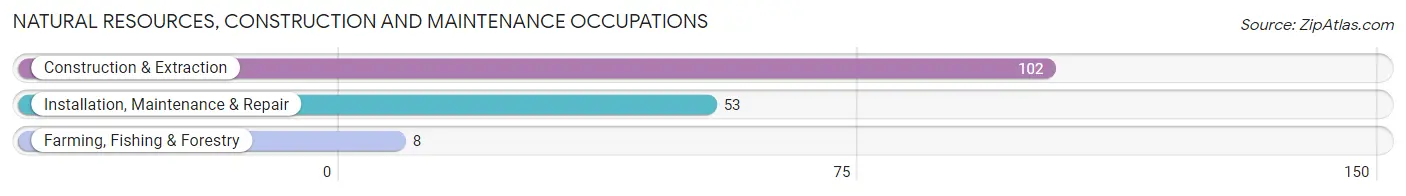 Natural Resources, Construction and Maintenance Occupations in Zip Code 14005