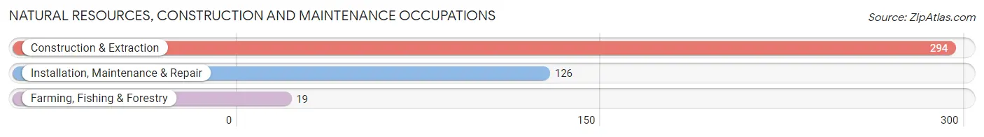 Natural Resources, Construction and Maintenance Occupations in Zip Code 14009