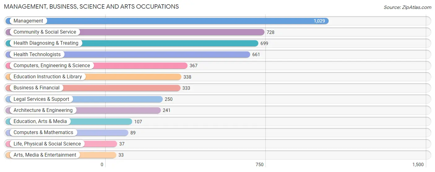 Management, Business, Science and Arts Occupations in Zip Code 14032