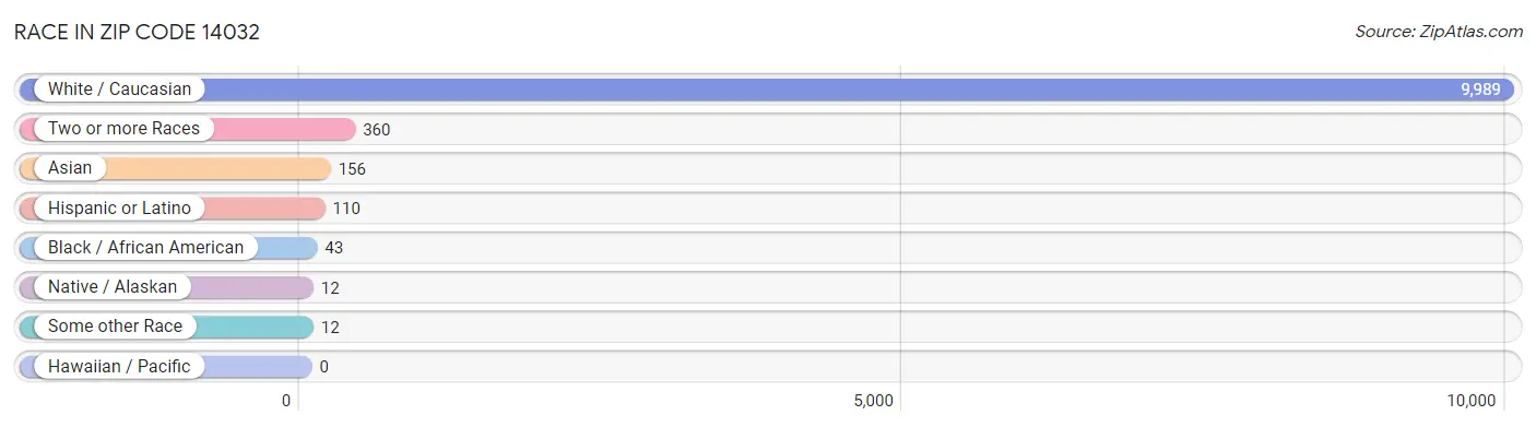 Race in Zip Code 14032