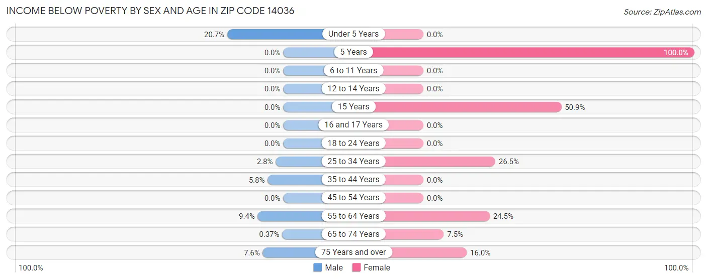 Income Below Poverty by Sex and Age in Zip Code 14036