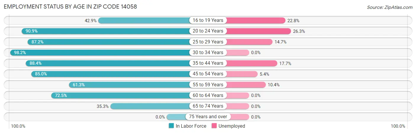Employment Status by Age in Zip Code 14058