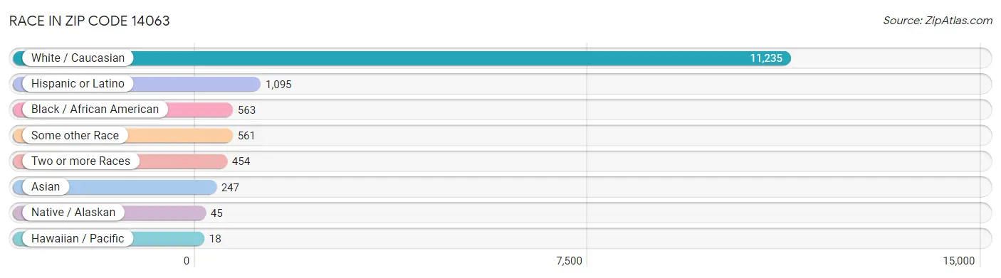 Race in Zip Code 14063