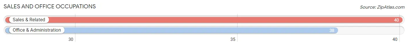 Sales and Office Occupations in Zip Code 14065