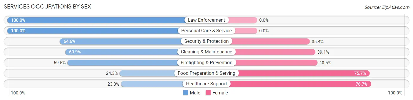 Services Occupations by Sex in Zip Code 14081