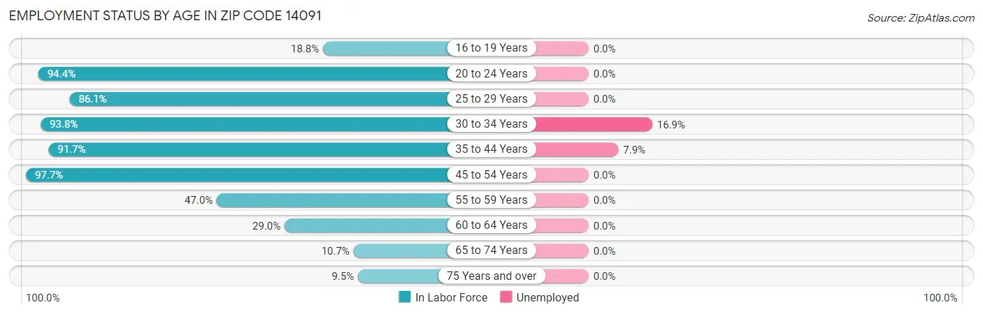 Employment Status by Age in Zip Code 14091