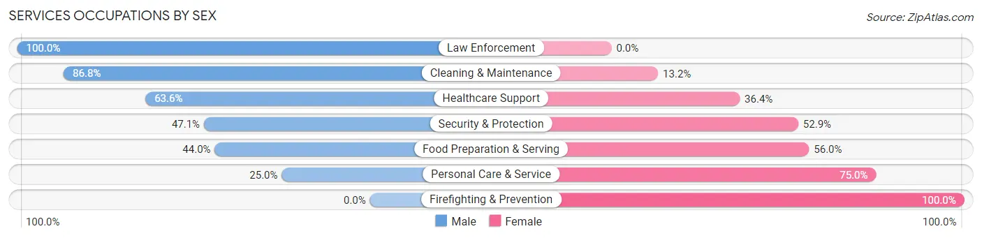 Services Occupations by Sex in Zip Code 14111