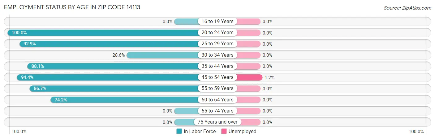 Employment Status by Age in Zip Code 14113