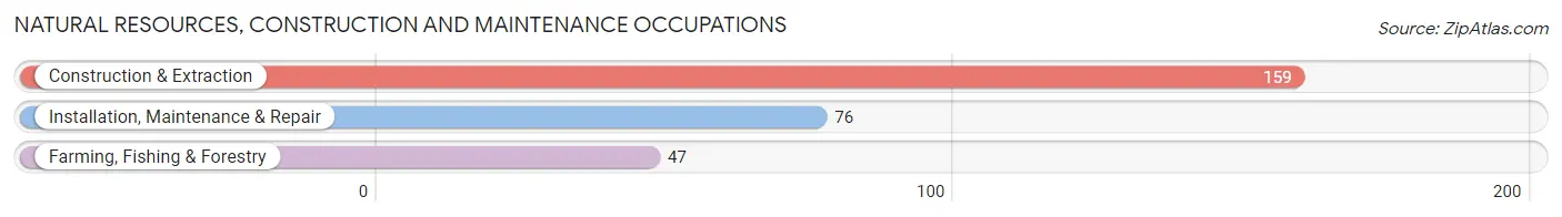 Natural Resources, Construction and Maintenance Occupations in Zip Code 14125