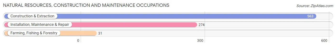 Natural Resources, Construction and Maintenance Occupations in Zip Code 14127