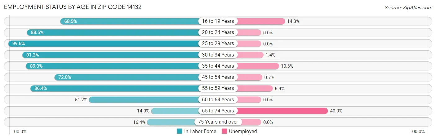 Employment Status by Age in Zip Code 14132