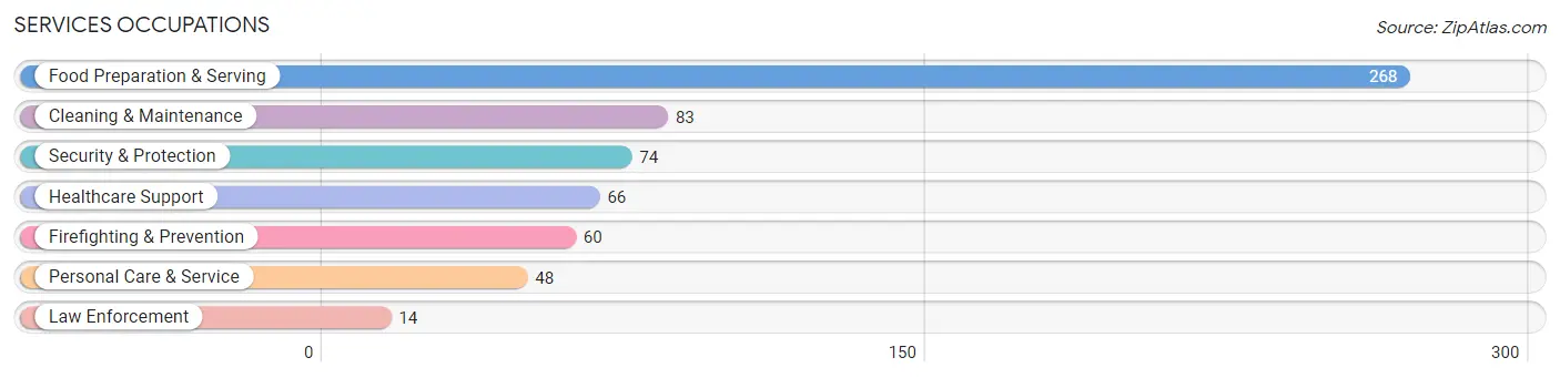 Services Occupations in Zip Code 14132