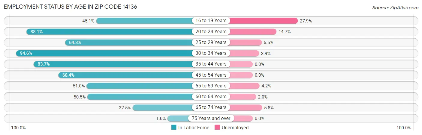 Employment Status by Age in Zip Code 14136