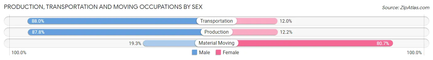 Production, Transportation and Moving Occupations by Sex in Zip Code 14138