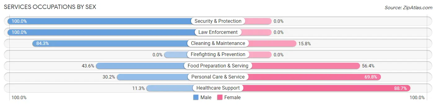 Services Occupations by Sex in Zip Code 14141