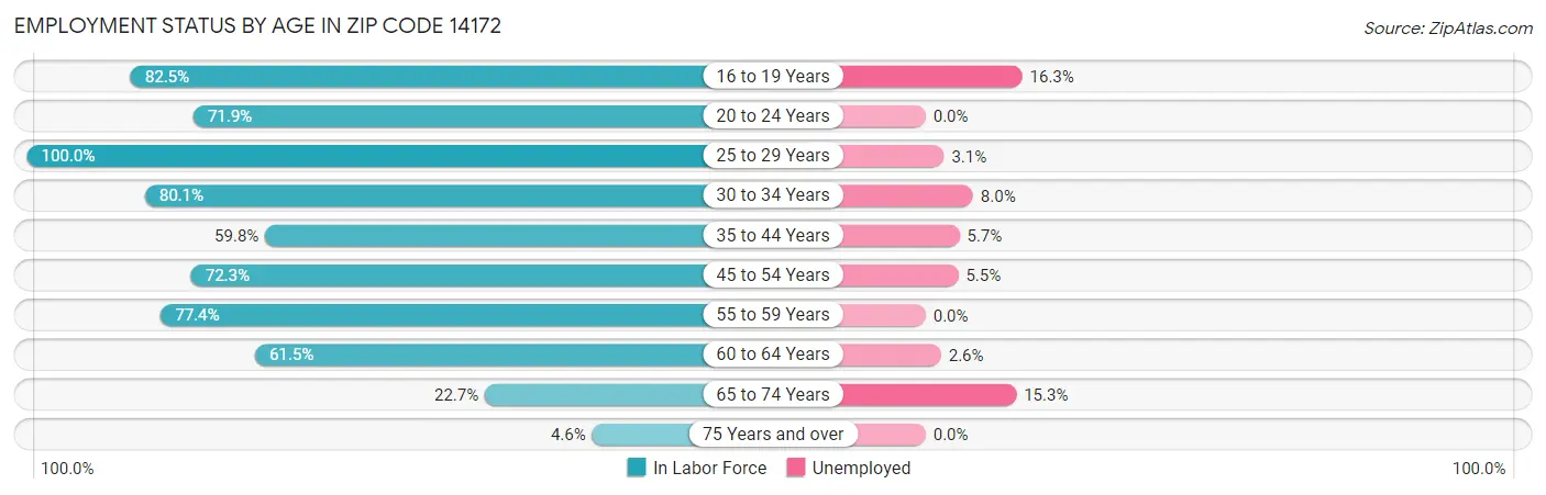 Employment Status by Age in Zip Code 14172