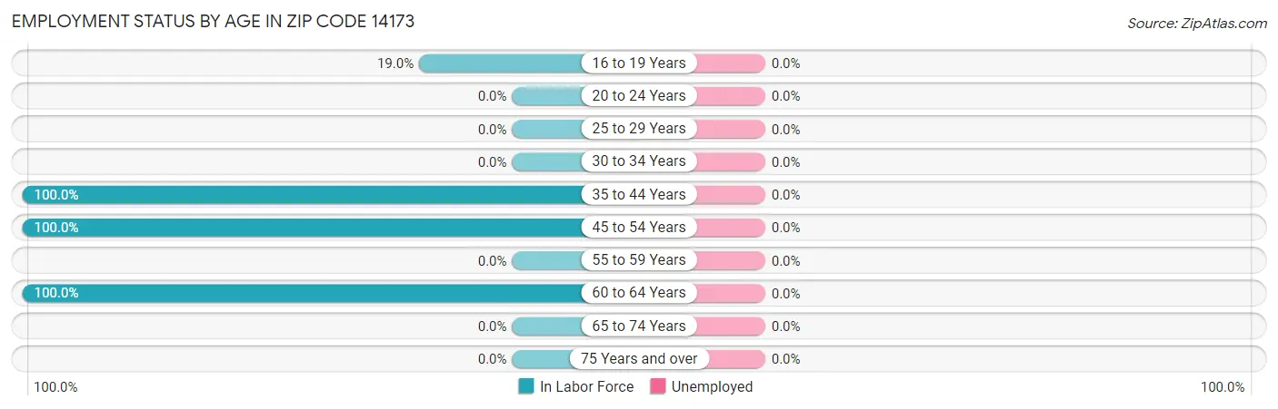Employment Status by Age in Zip Code 14173