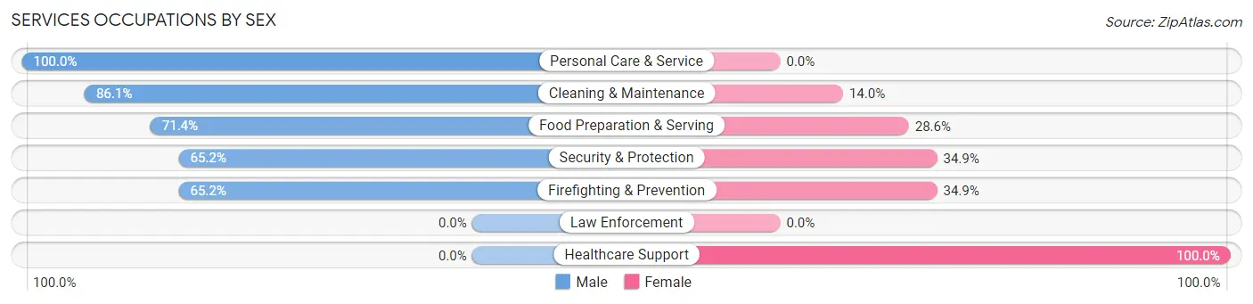 Services Occupations by Sex in Zip Code 14202
