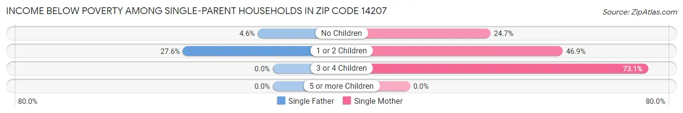 Income Below Poverty Among Single-Parent Households in Zip Code 14207