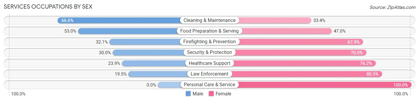 Services Occupations by Sex in Zip Code 14211
