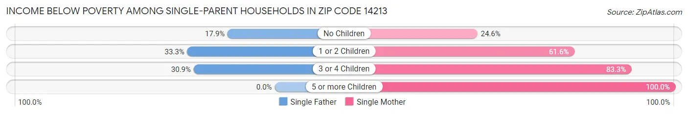 Income Below Poverty Among Single-Parent Households in Zip Code 14213