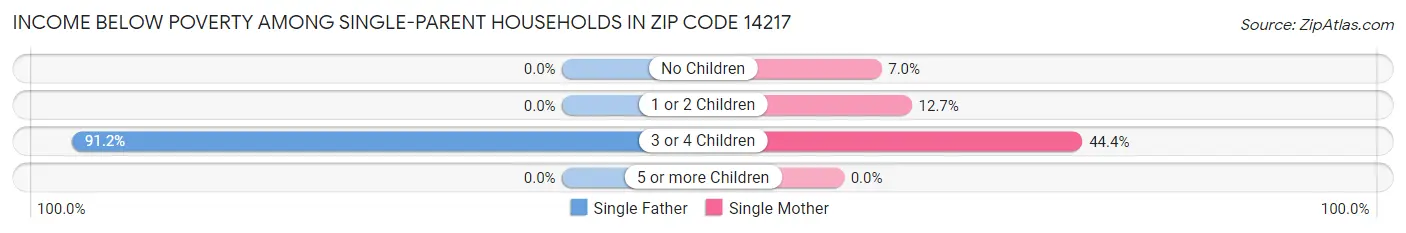 Income Below Poverty Among Single-Parent Households in Zip Code 14217