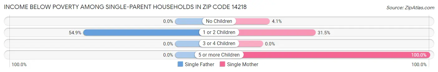 Income Below Poverty Among Single-Parent Households in Zip Code 14218