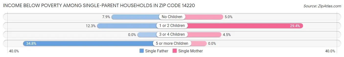 Income Below Poverty Among Single-Parent Households in Zip Code 14220