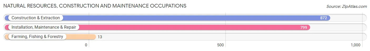 Natural Resources, Construction and Maintenance Occupations in Zip Code 14224