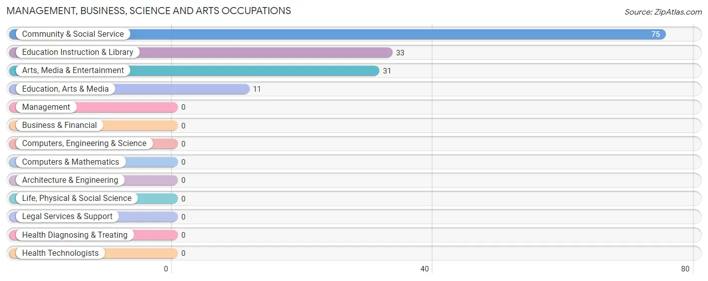 Management, Business, Science and Arts Occupations in Zip Code 14260