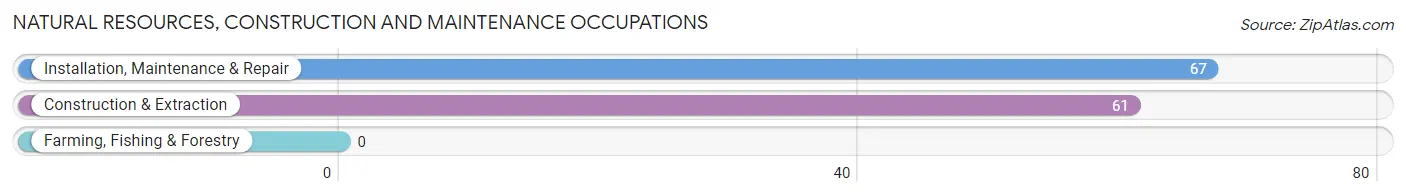 Natural Resources, Construction and Maintenance Occupations in Zip Code 14303