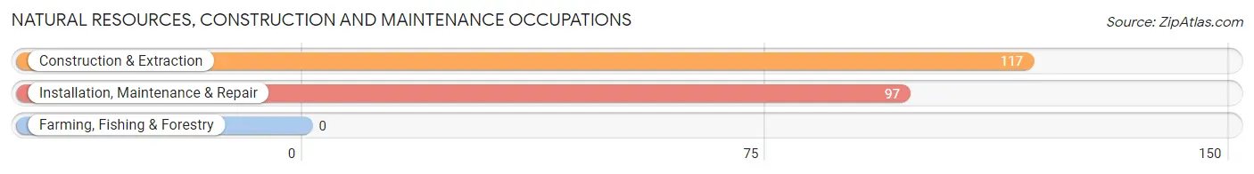 Natural Resources, Construction and Maintenance Occupations in Zip Code 14428