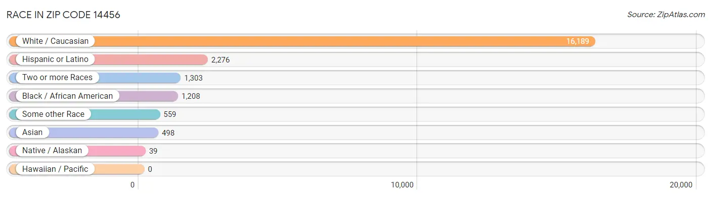 Race in Zip Code 14456