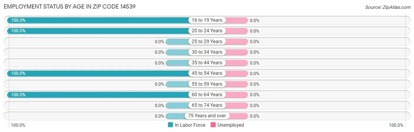 Employment Status by Age in Zip Code 14539
