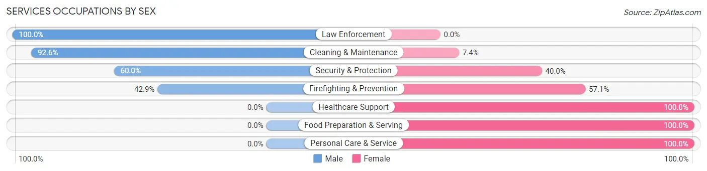 Services Occupations by Sex in Zip Code 14560