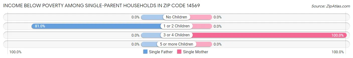 Income Below Poverty Among Single-Parent Households in Zip Code 14569