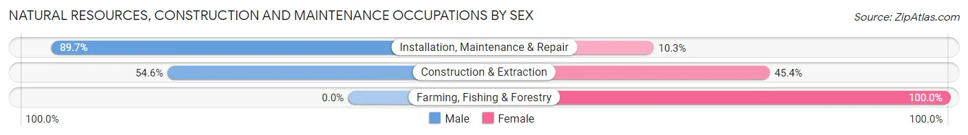 Natural Resources, Construction and Maintenance Occupations by Sex in Zip Code 14586