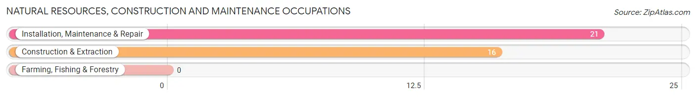 Natural Resources, Construction and Maintenance Occupations in Zip Code 14716