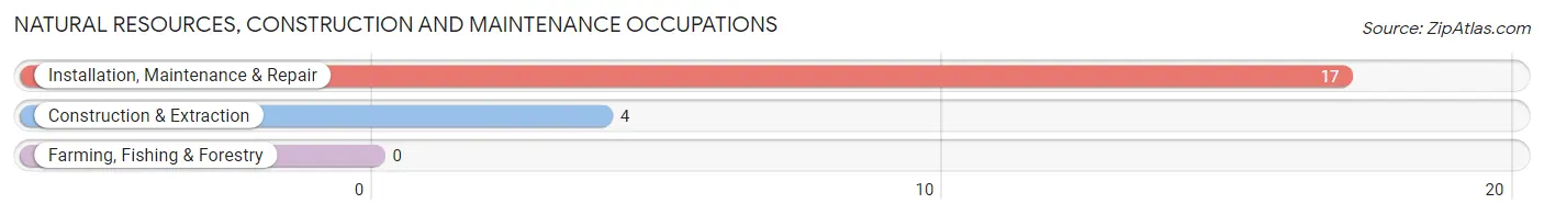 Natural Resources, Construction and Maintenance Occupations in Zip Code 14717