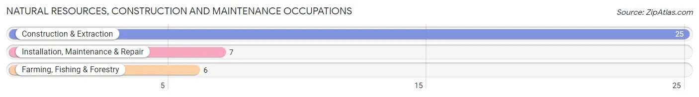 Natural Resources, Construction and Maintenance Occupations in Zip Code 14744