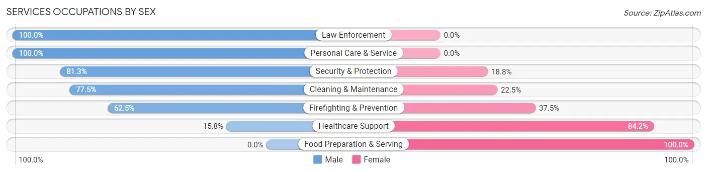 Services Occupations by Sex in Zip Code 14753