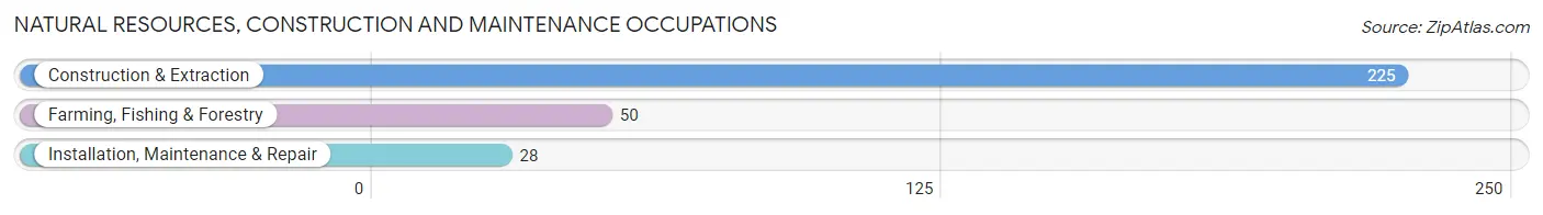 Natural Resources, Construction and Maintenance Occupations in Zip Code 14767