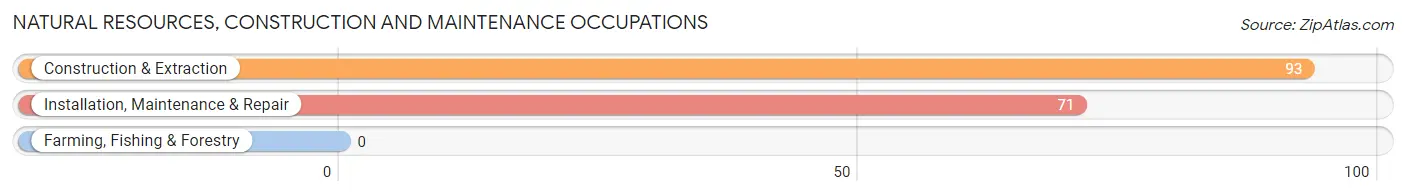 Natural Resources, Construction and Maintenance Occupations in Zip Code 14787